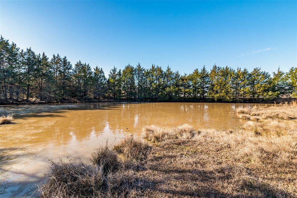 39.223 AC Dugan Chapel Road - Photo 1