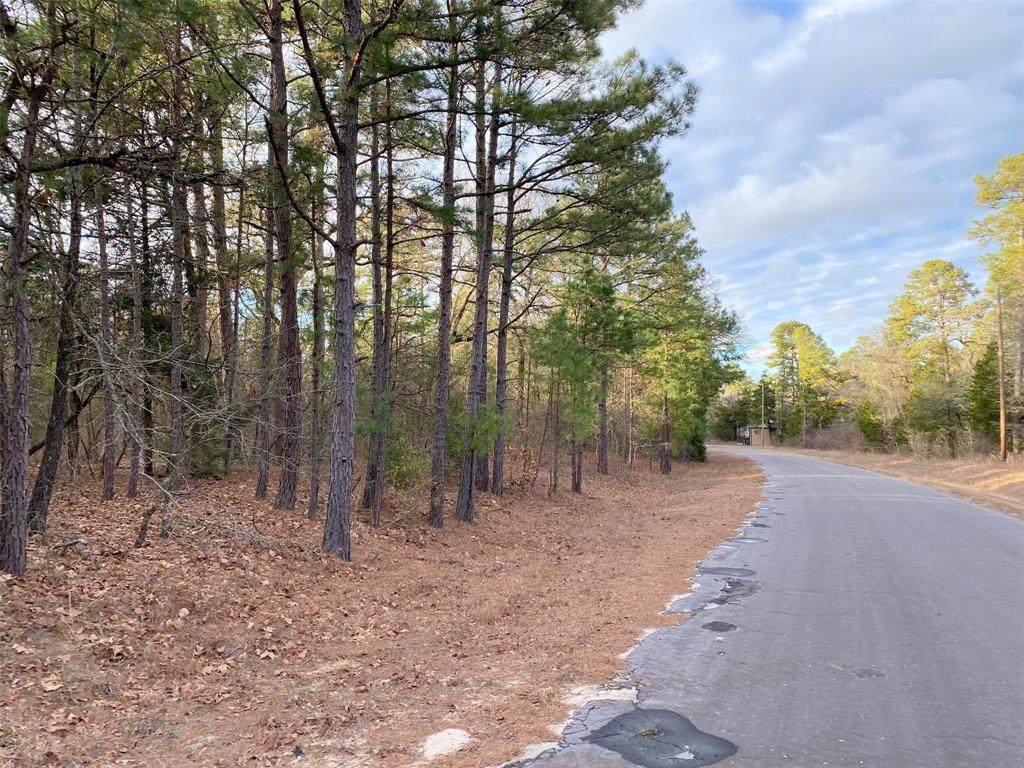 TBD County Road 4593 - Photo 1