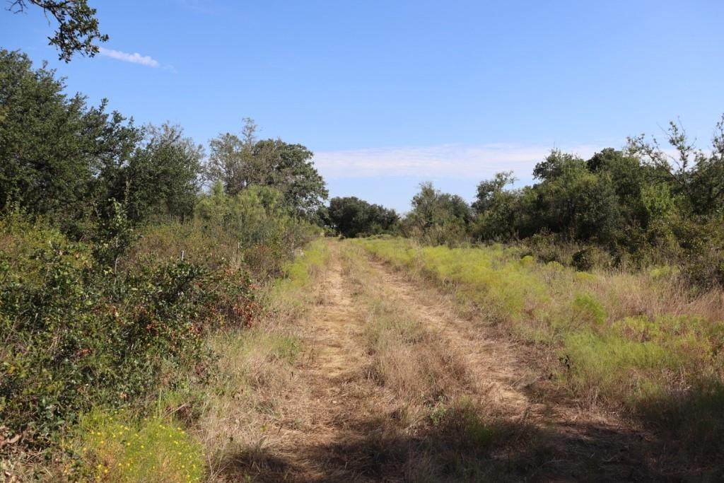 9999 County Road 180 - Photo 1