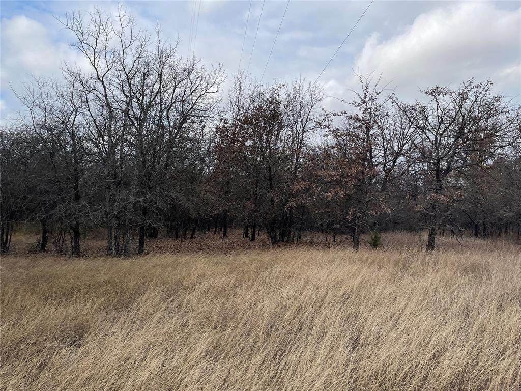 Tract 1 Hwy 380 - Photo 1
