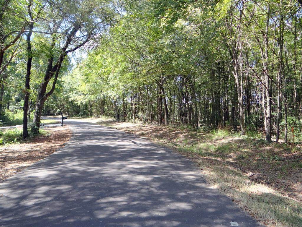 Lot 16 County Road 4870 - Photo 1