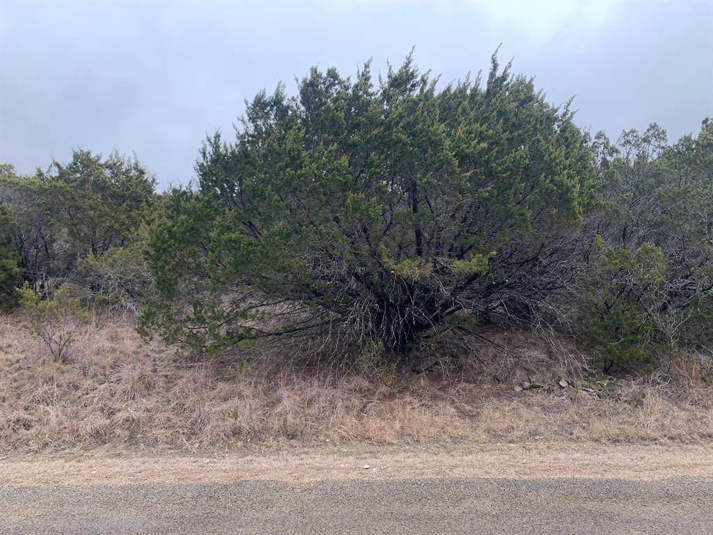 4721 Taos Street - Photo 1