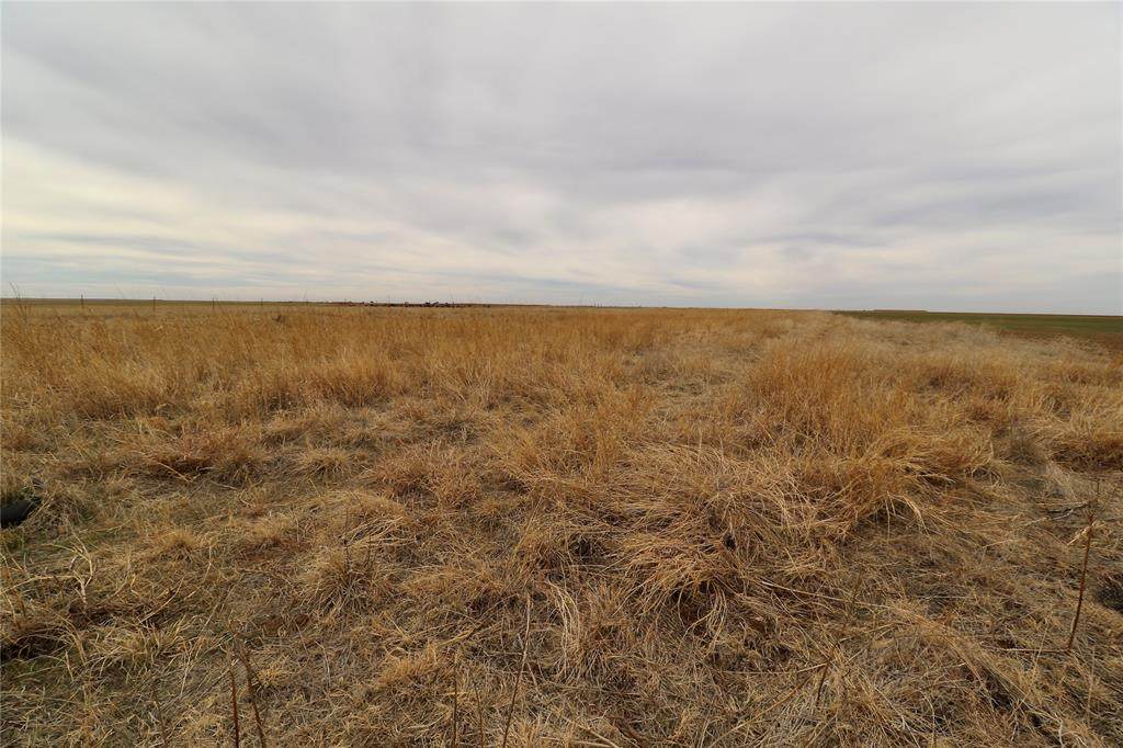 000 County Rd 194 - Photo 1