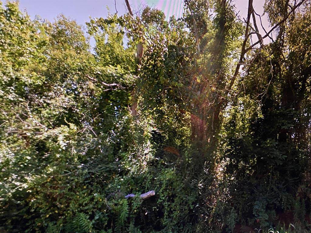 2426 County Road - Photo 1