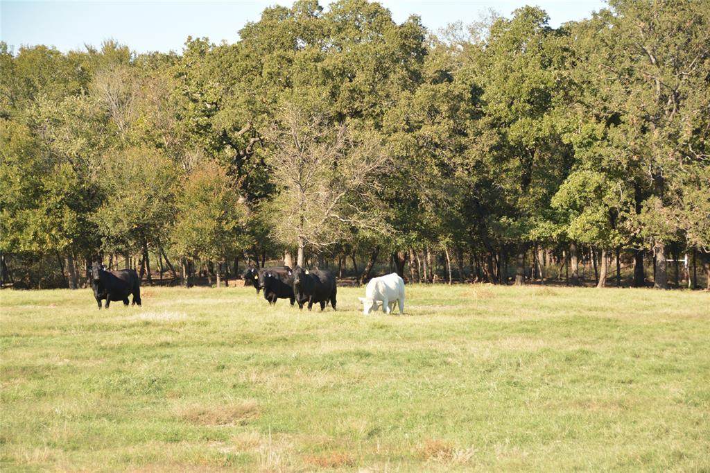 430 County Road 1326 - Photo 1