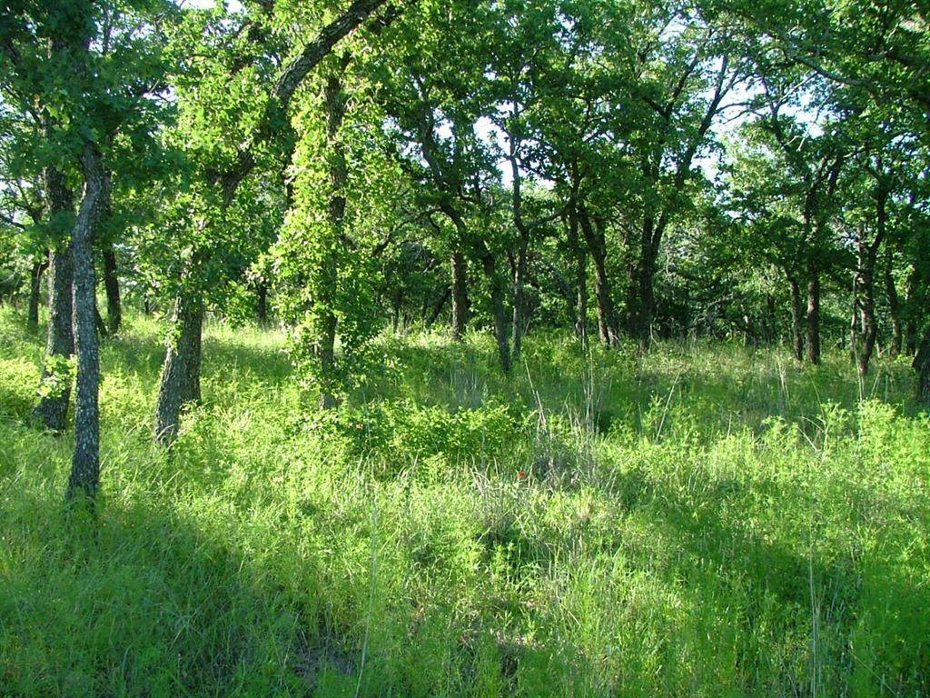 Lot 203 Ridgeline Drive - Photo 1