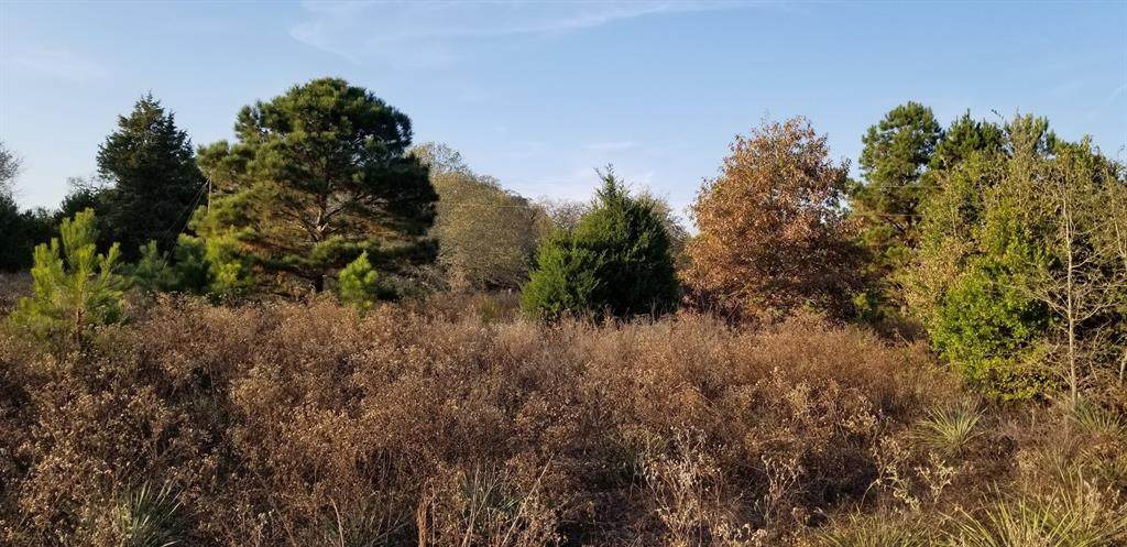 6654 County Road 3705 - Photo 1