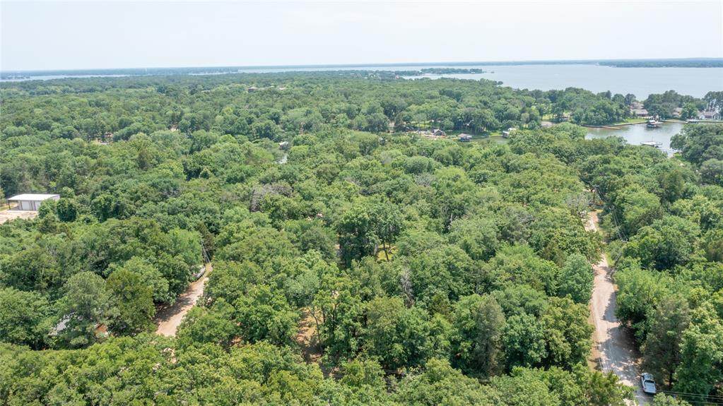 TBD Hickory Trace - Photo 1
