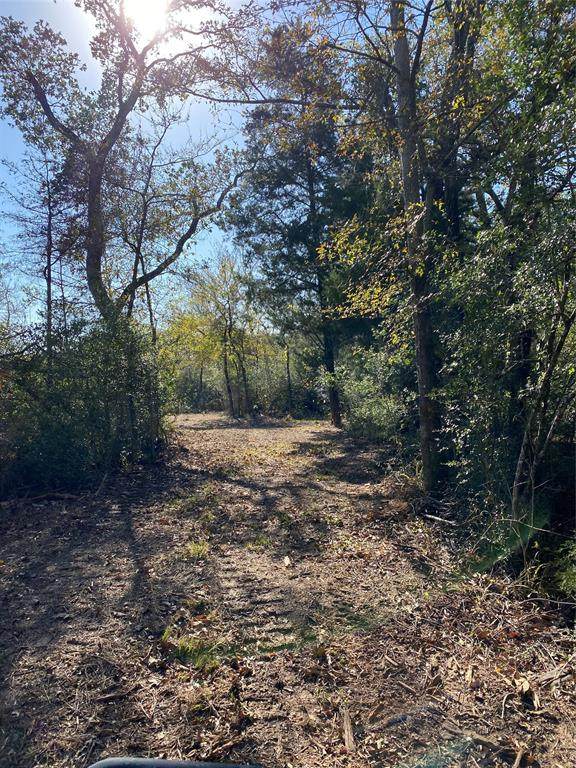 TBD Hwy 75 - Photo 1