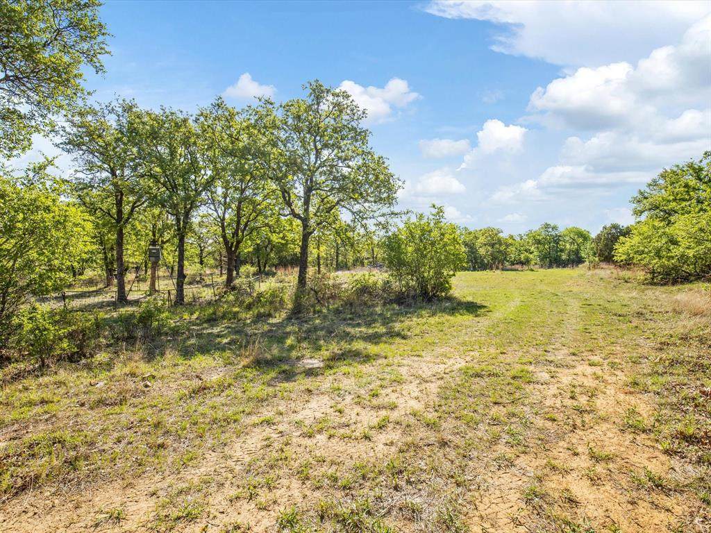 TBD Ellis White Road - Photo 1