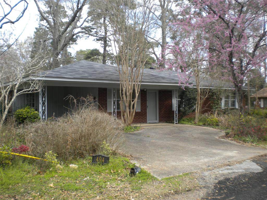 494 Mary Lou Lane - Photo 1