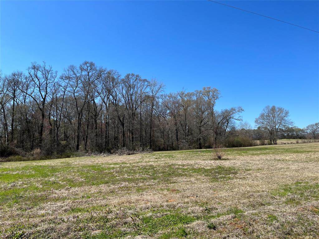 0 Powell Road - Photo 1