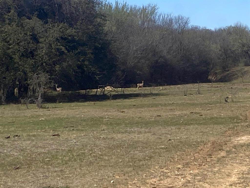 0 County Rd 1340 - Photo 1