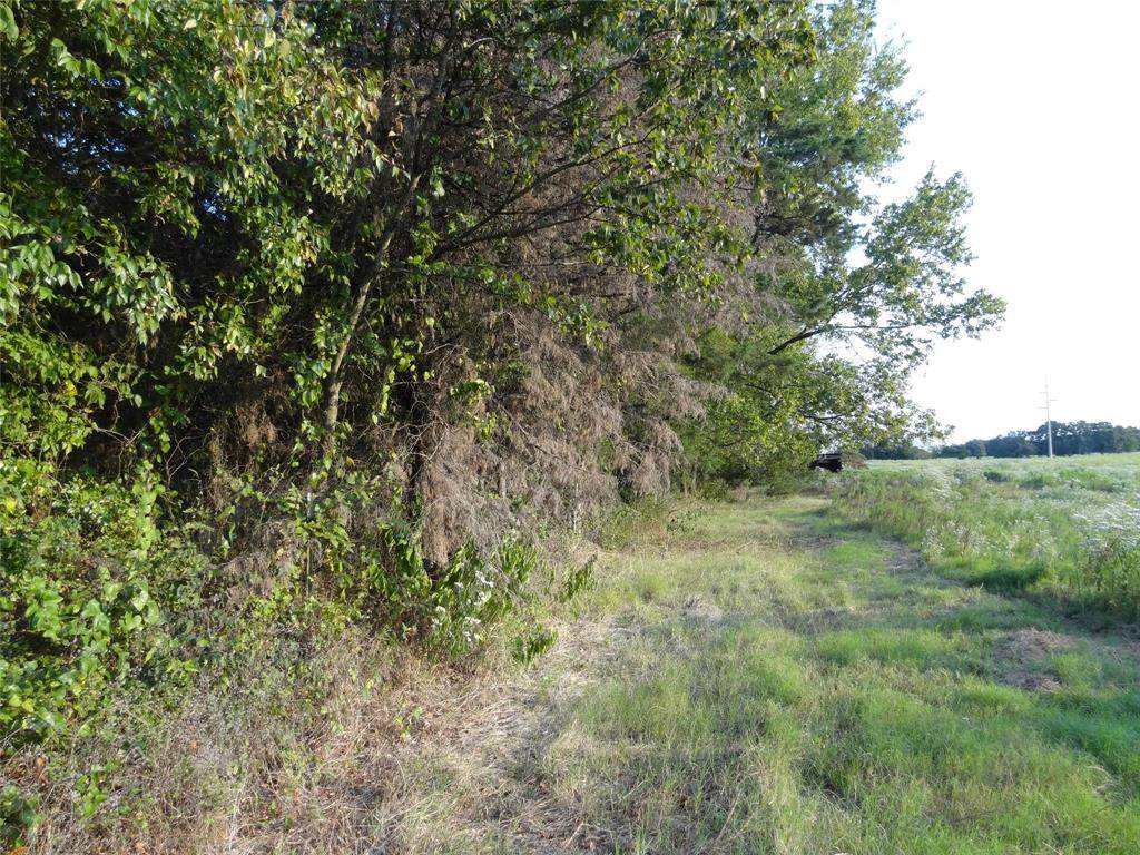LOT 13 Cr 2501 - Photo 1
