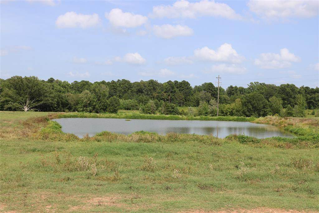 8429 Goat Road - Photo 1