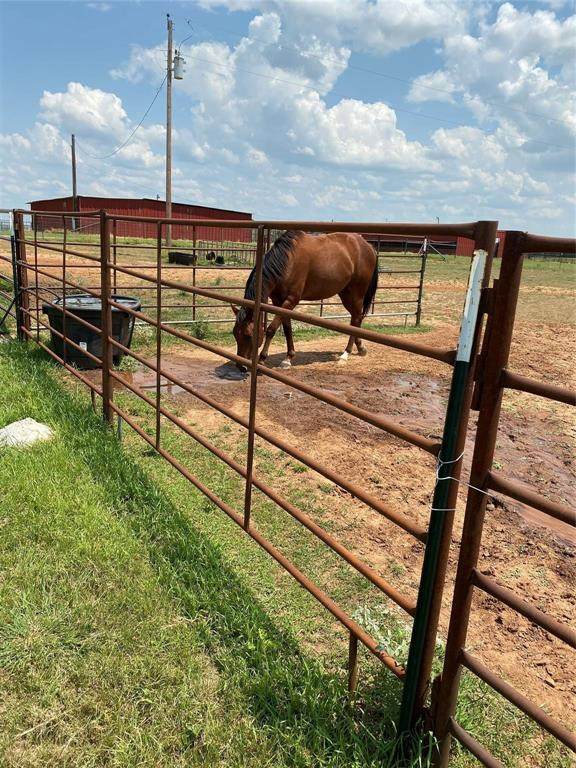 12377 County Road 372 - Photo 1