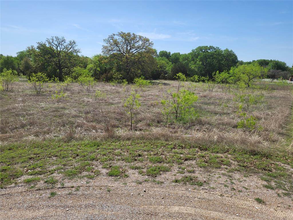 17061 Trailwood Drive - Photo 1