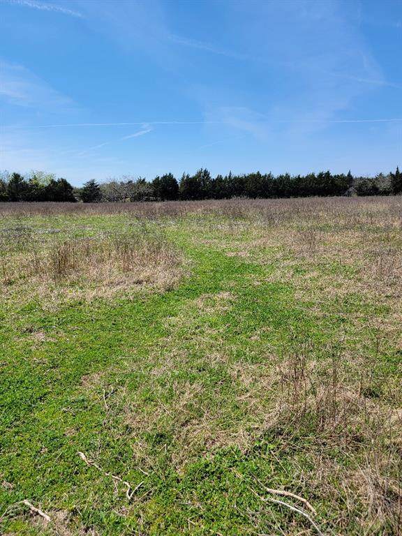 1334 Stark Road - Photo 1