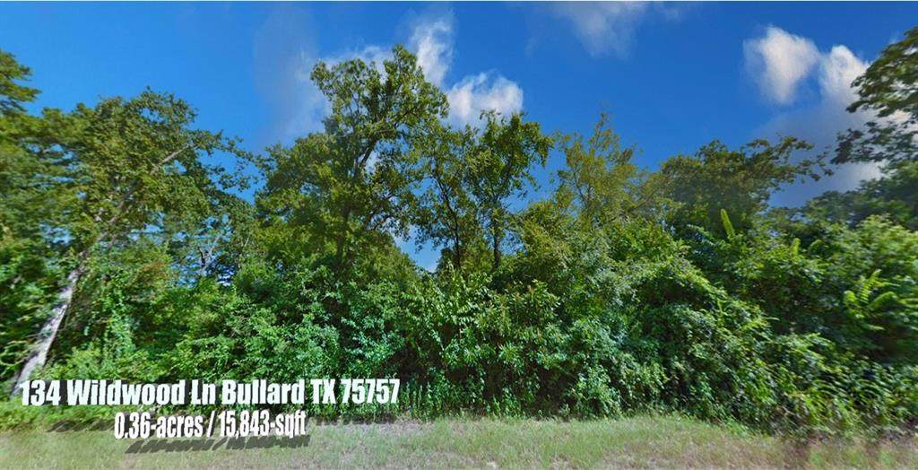 134 Wildwood Lane - Photo 1