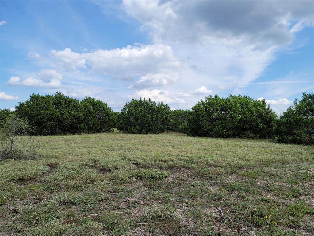 TBD - Lot 31 Farm To Market 934 - Photo 1