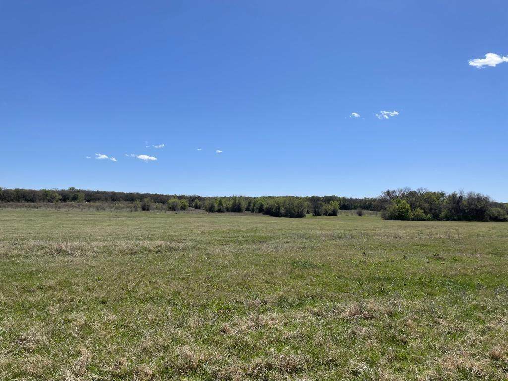 Lot 6 County Road 1200 - Photo 1