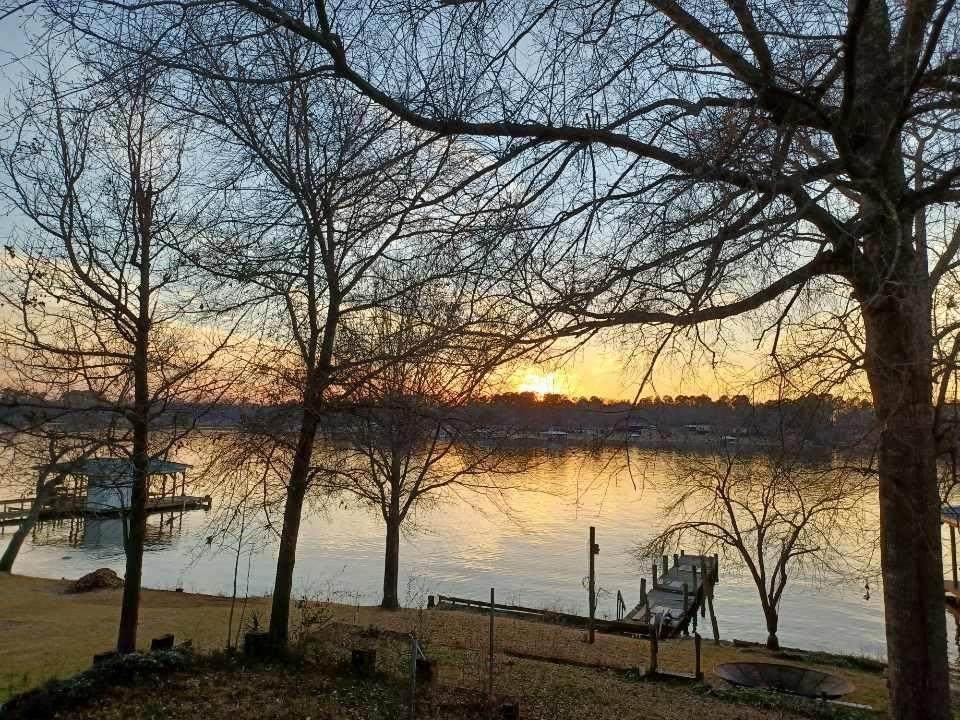 1560 County Road 2270 - Photo 1