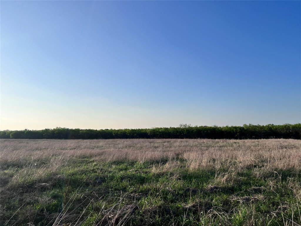 1330 Eagle Cove Lane - Photo 1