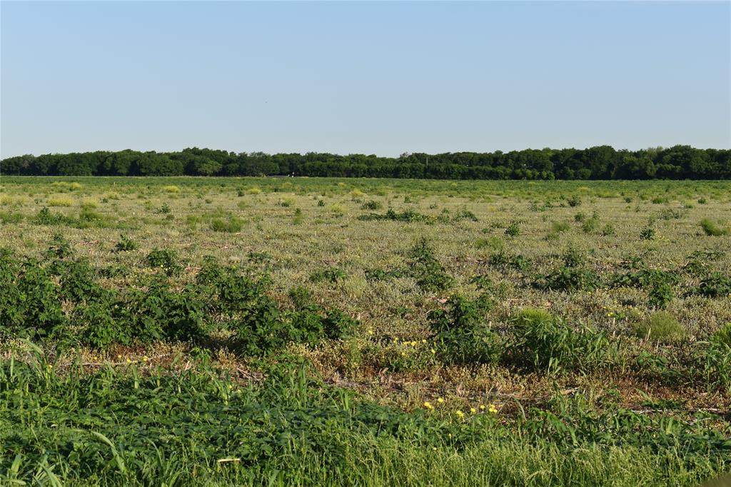 TBD Lot 6 County Road 101A - Photo 1
