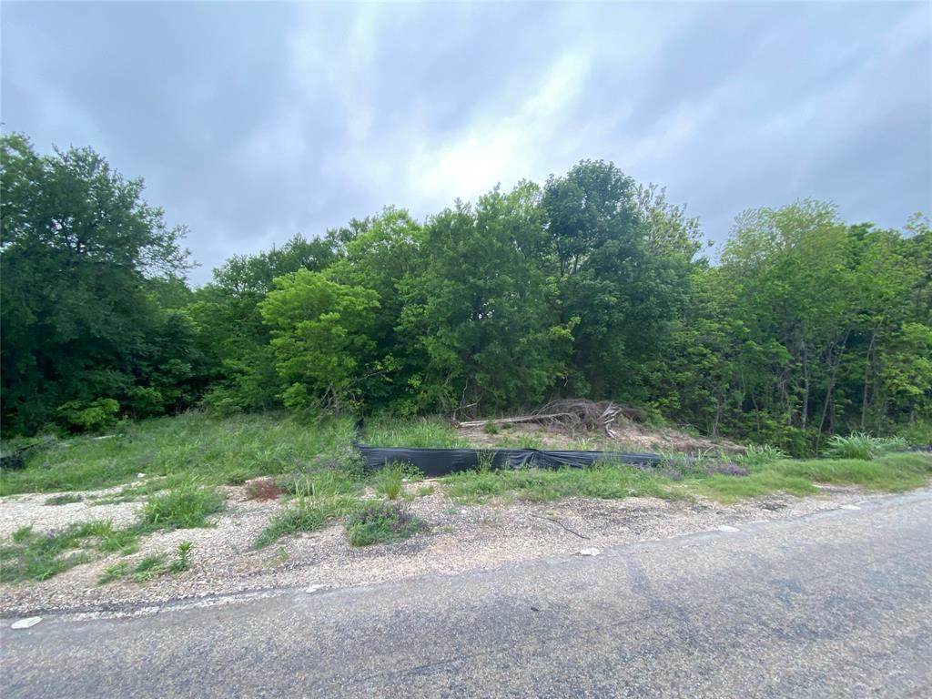 0000 Hwy 75 - Photo 1