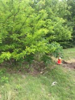 9002 Cedar Circle - Photo 1
