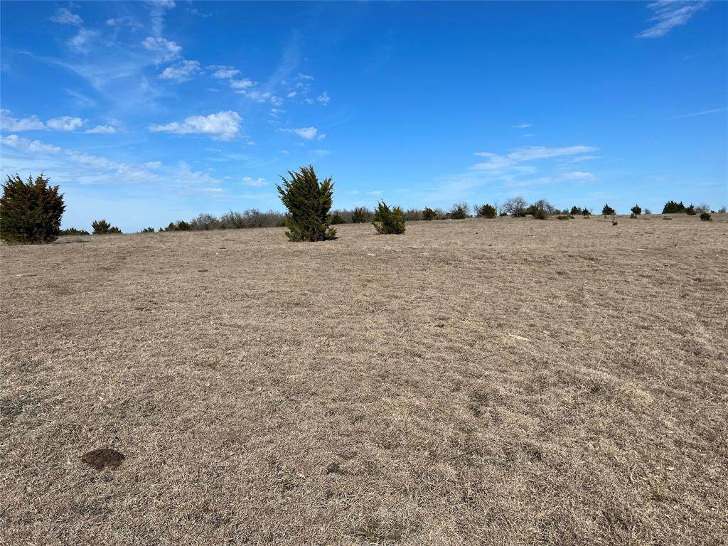 TBD Lot 1 County Road 703 - Photo 1