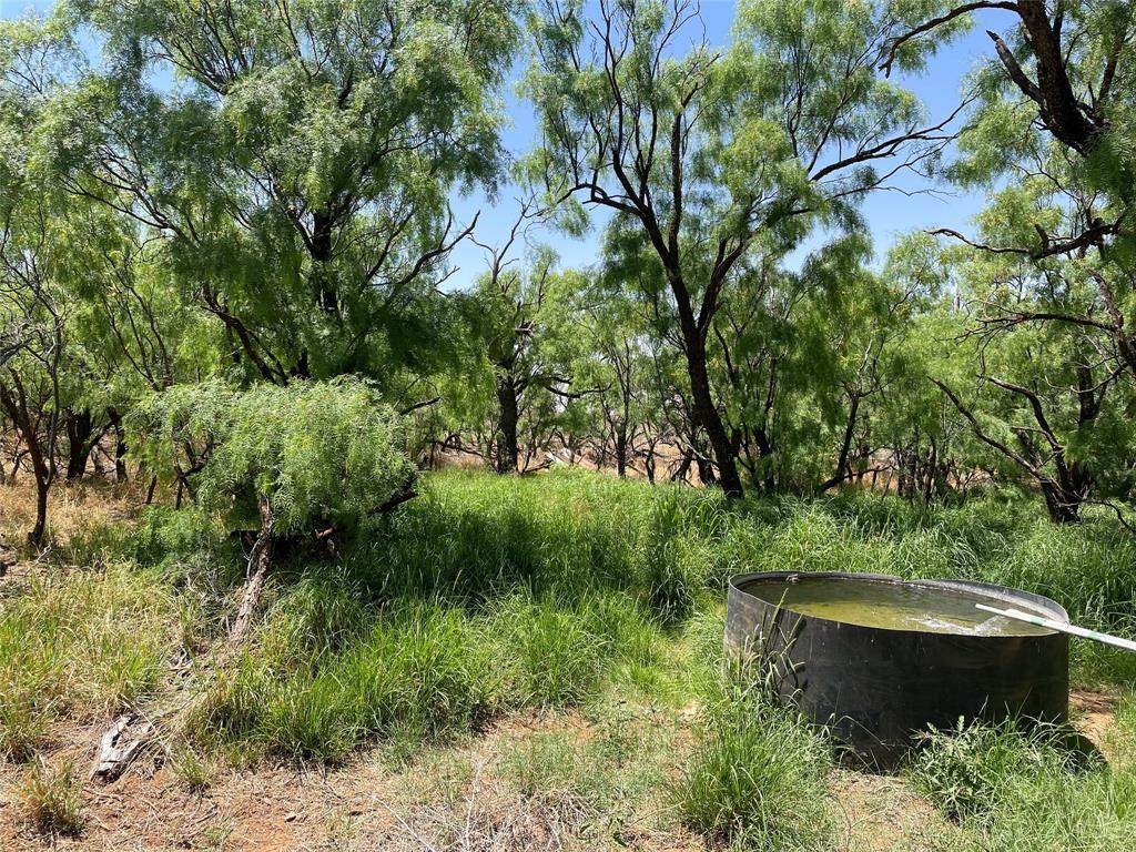 0 County Road 157 - Photo 1