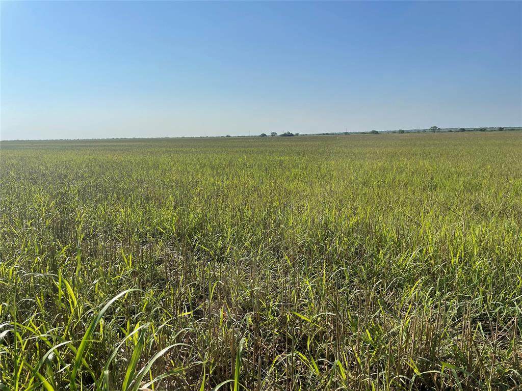 17462 LOT 12 County Road 467 - Photo 1