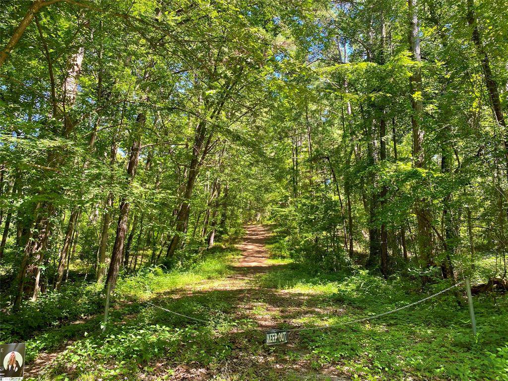 000 Canyon Drive - Photo 1