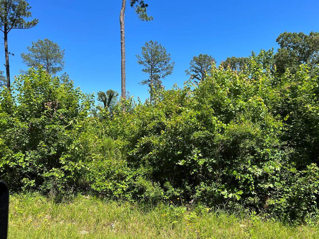 4 Germantown Road - Photo 1