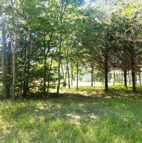 0 Blue Jay Lane - Photo 1
