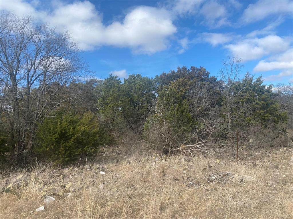3517 Flint Rock Circle - Photo 1