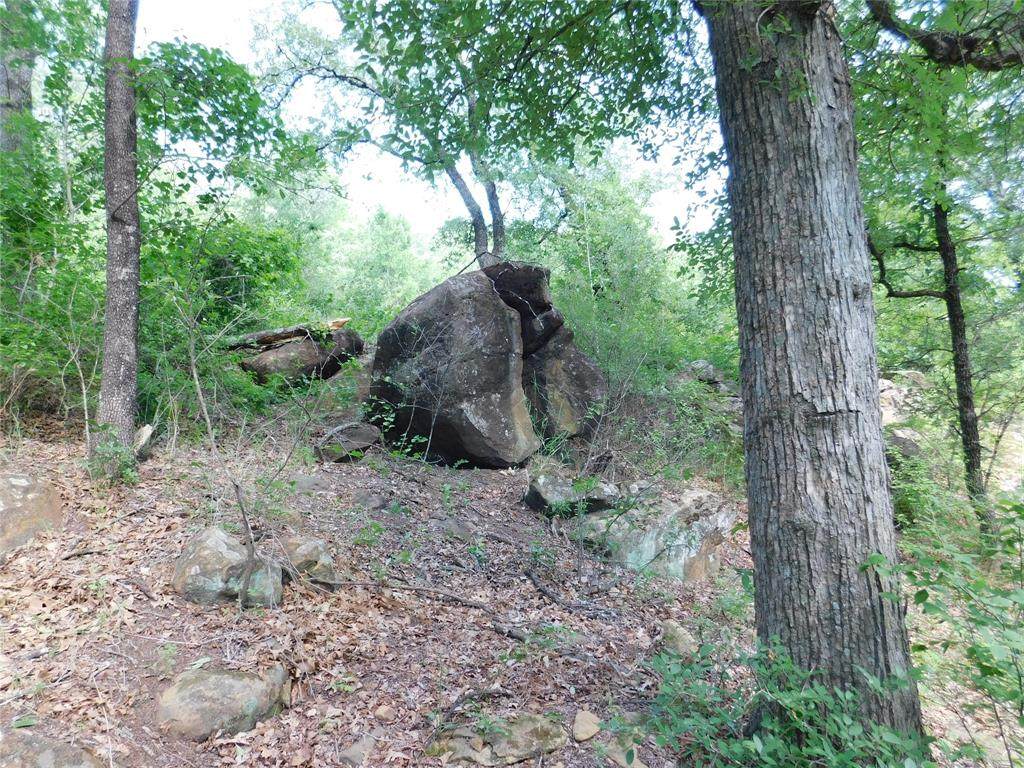 TBD Truce Road - Photo 1