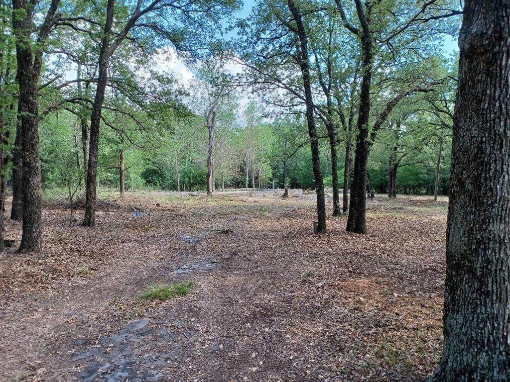 240 County Road 4845 - Photo 1
