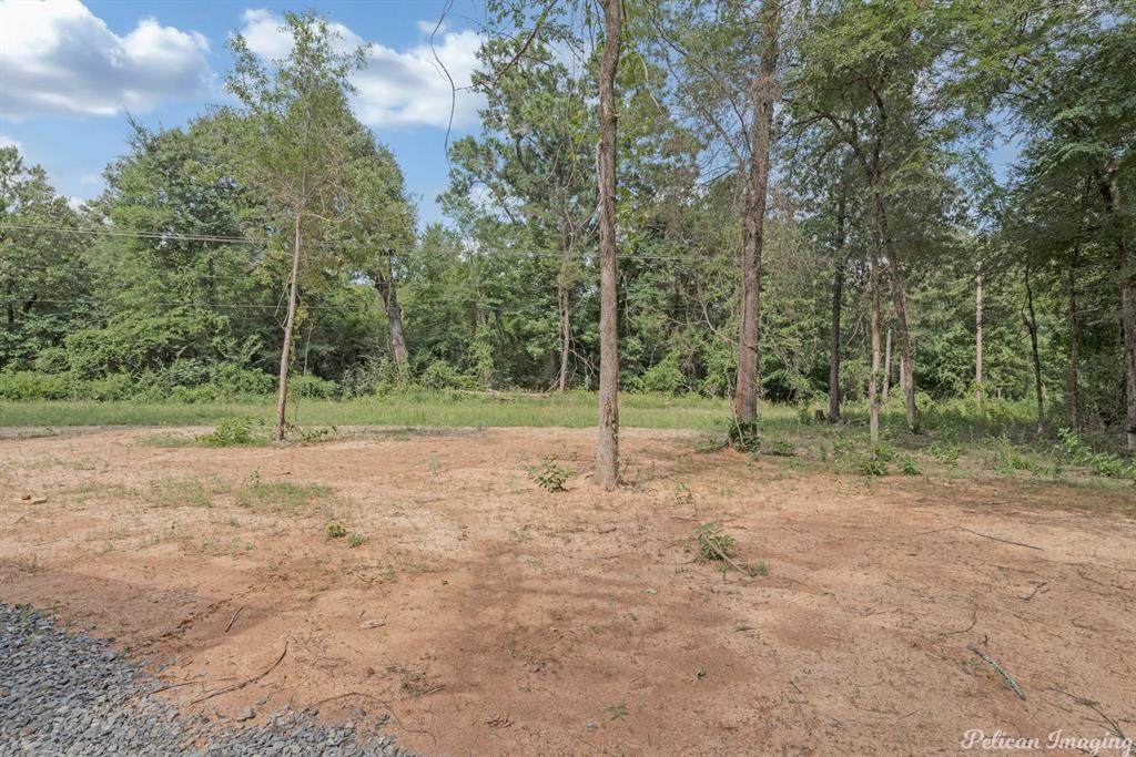 0 Caddo Lake - Photo 1