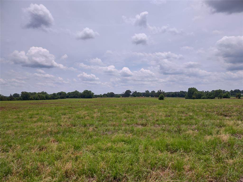 Tract 6 Cr 4325 - Photo 1