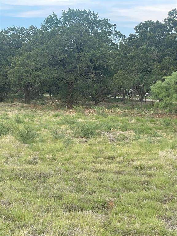 1.33 ACRES TBD County Road 176 - Photo 1