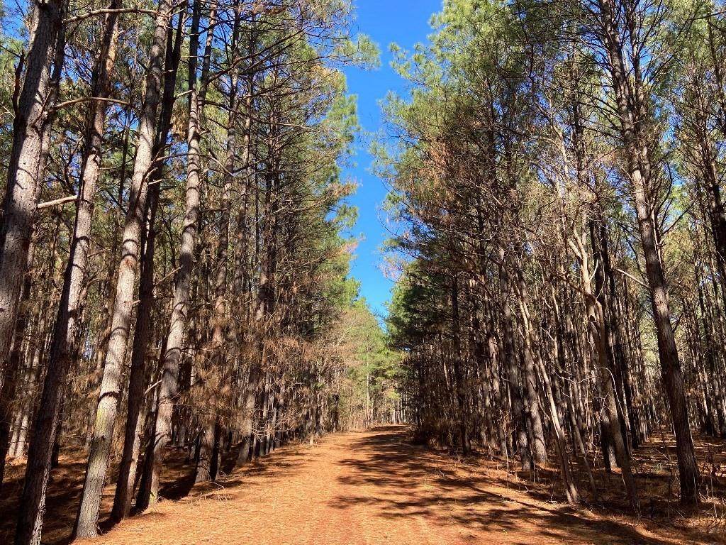 19451 County Road 4307 Road - Photo 1