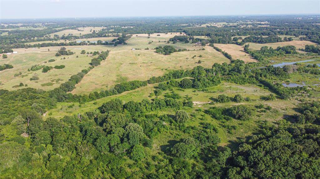 TBD Vz County Road 1904 - Photo 1