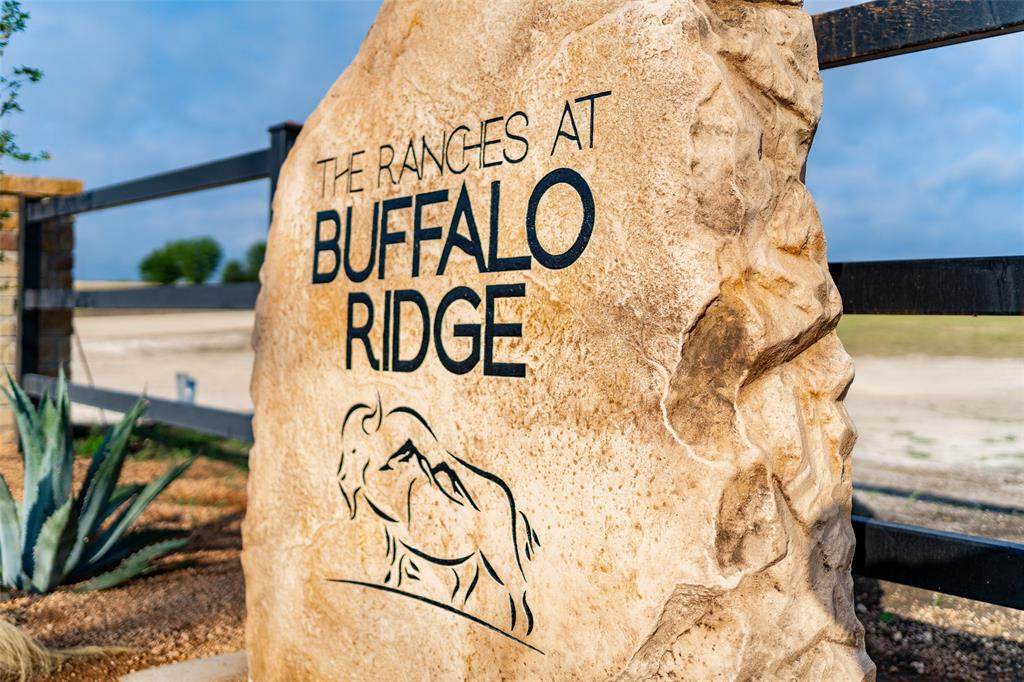 6656 Buffalo Ridge Circle - Photo 1