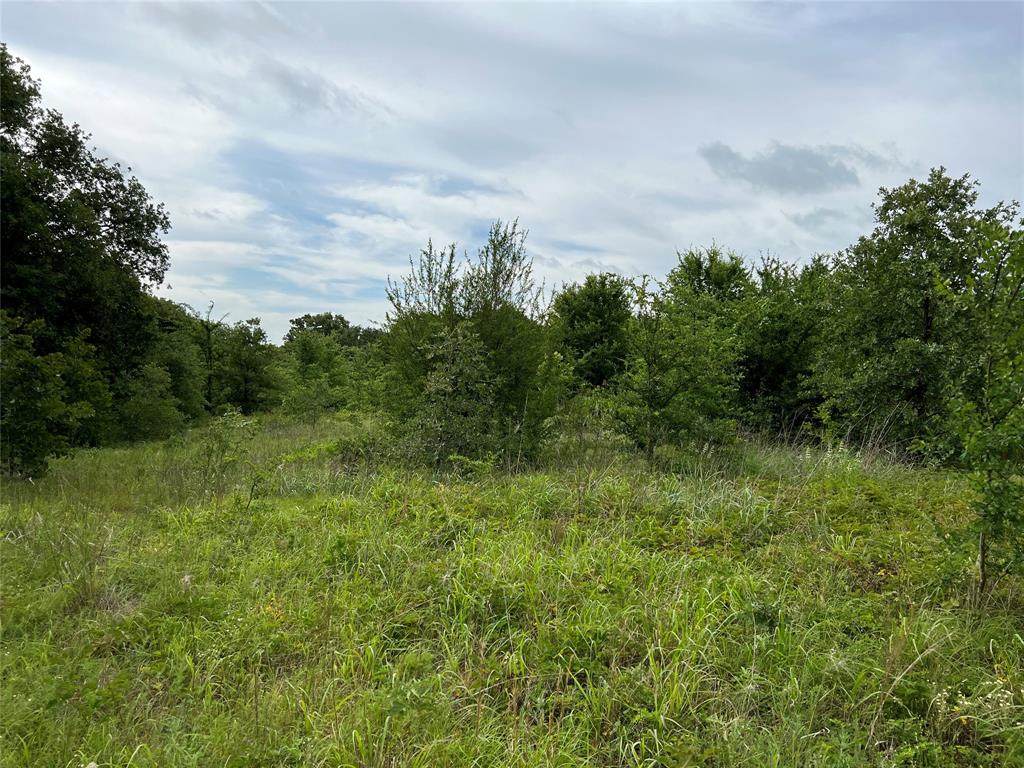 TBD Wainscott Road - Photo 1
