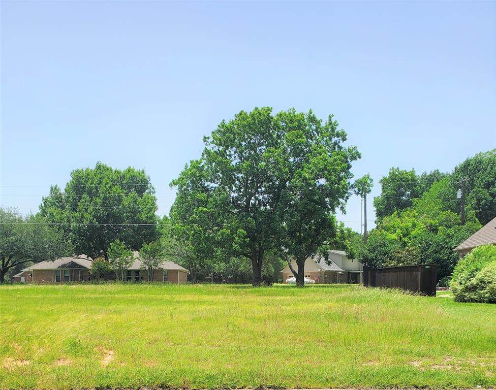 2105 Bois D'arc - Photo 1
