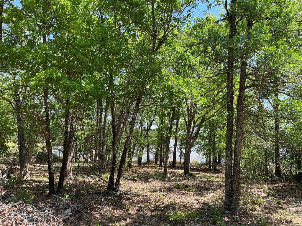 6.5 Ac Tract 2 Fm 2214 - Photo 1