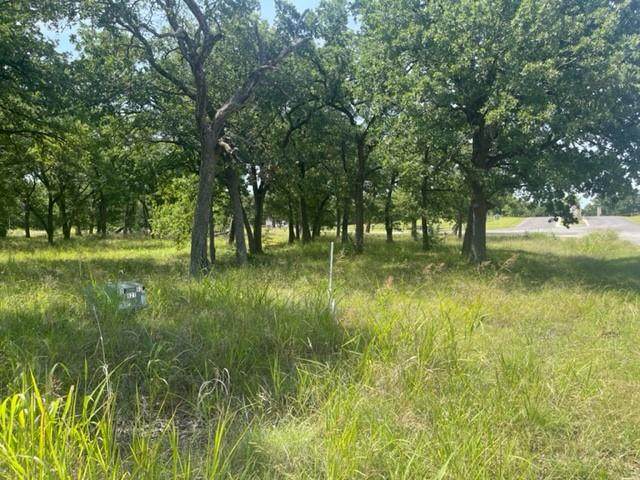 Lot 3 and 4 The Woods - Photo 1