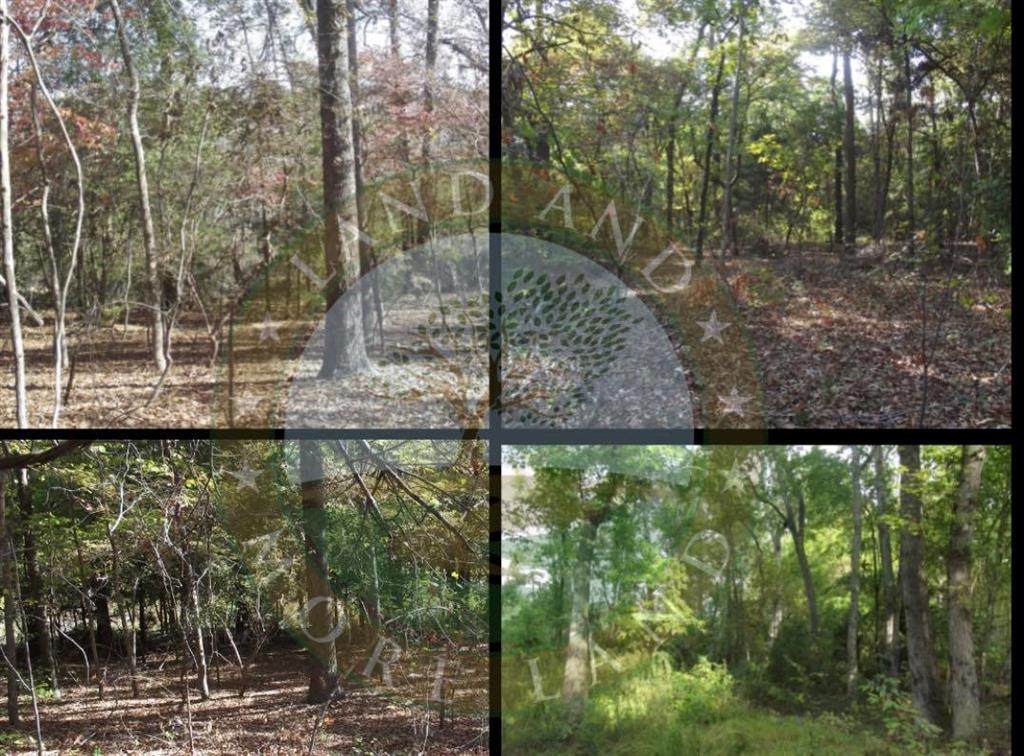 17739 County Road 431 - Photo 1